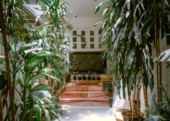 Colonel'S Retreat Bed & Breakfast New Delhi